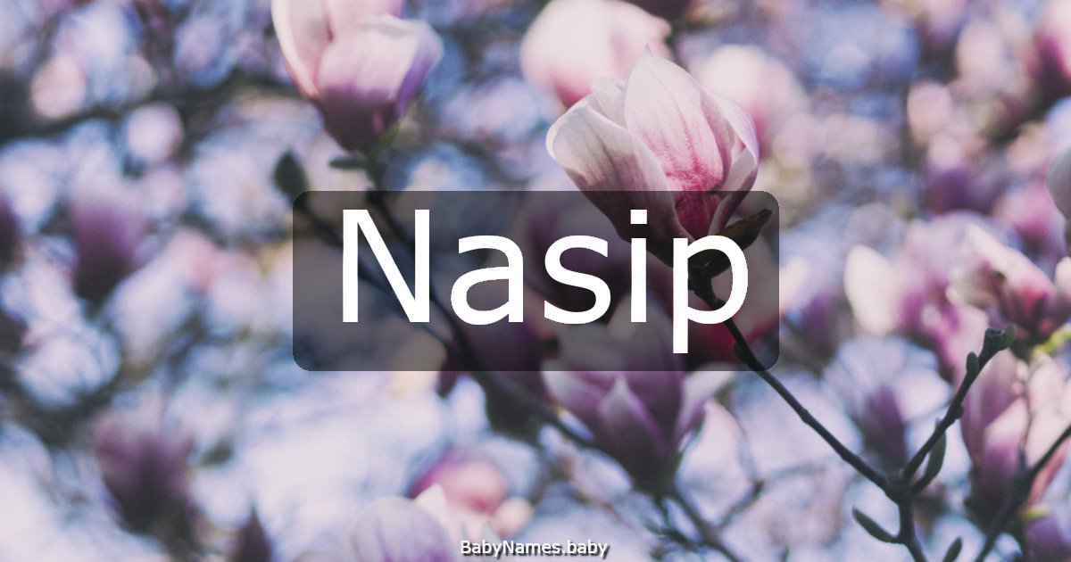 Nasip