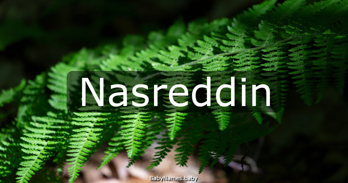 Nasreddin