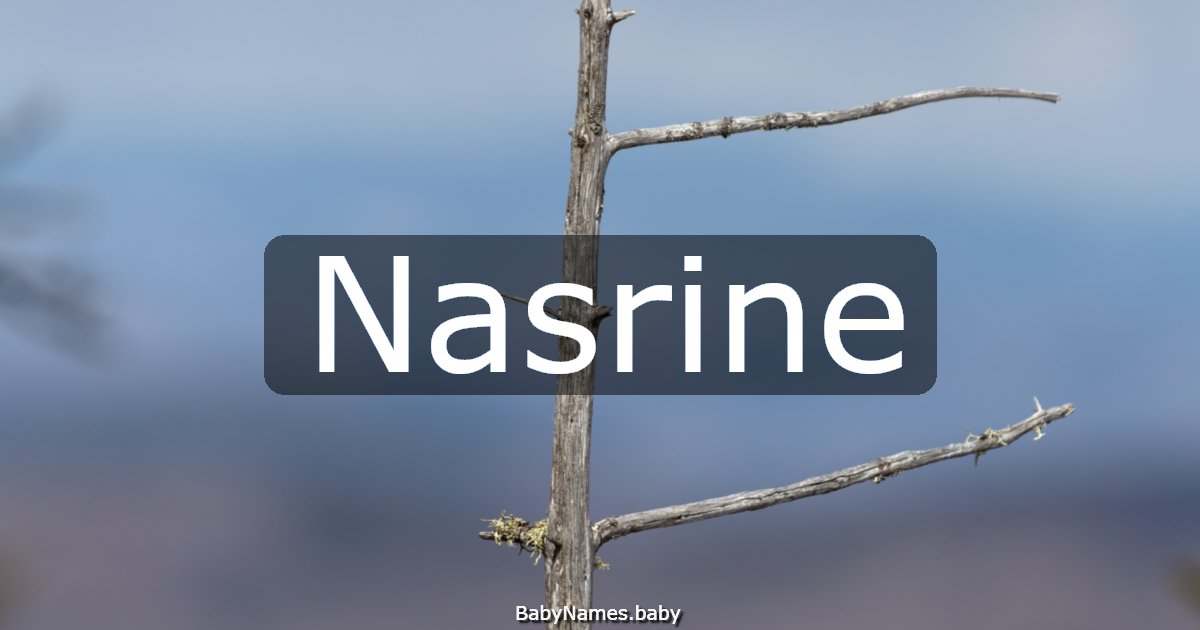 Nasrine