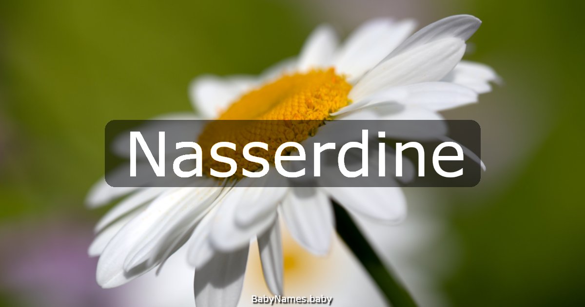 Nasserdine