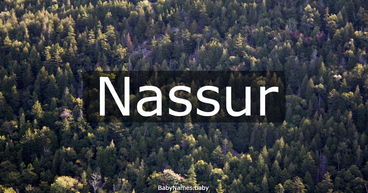 Nassur