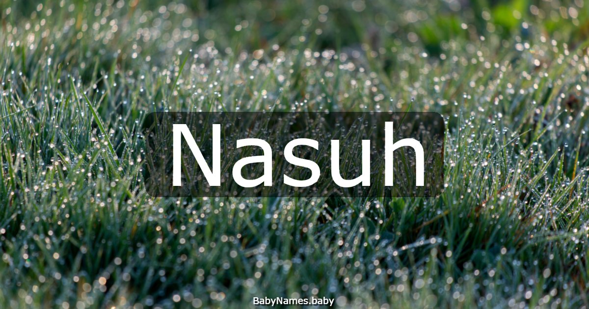 Nasuh