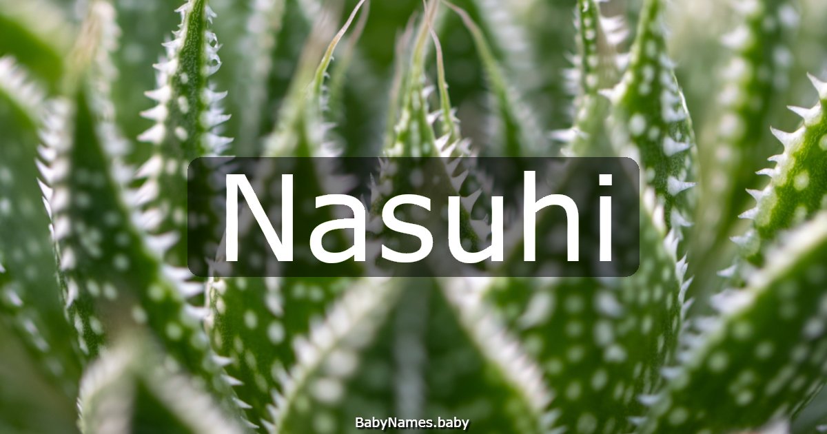 Nasuhi