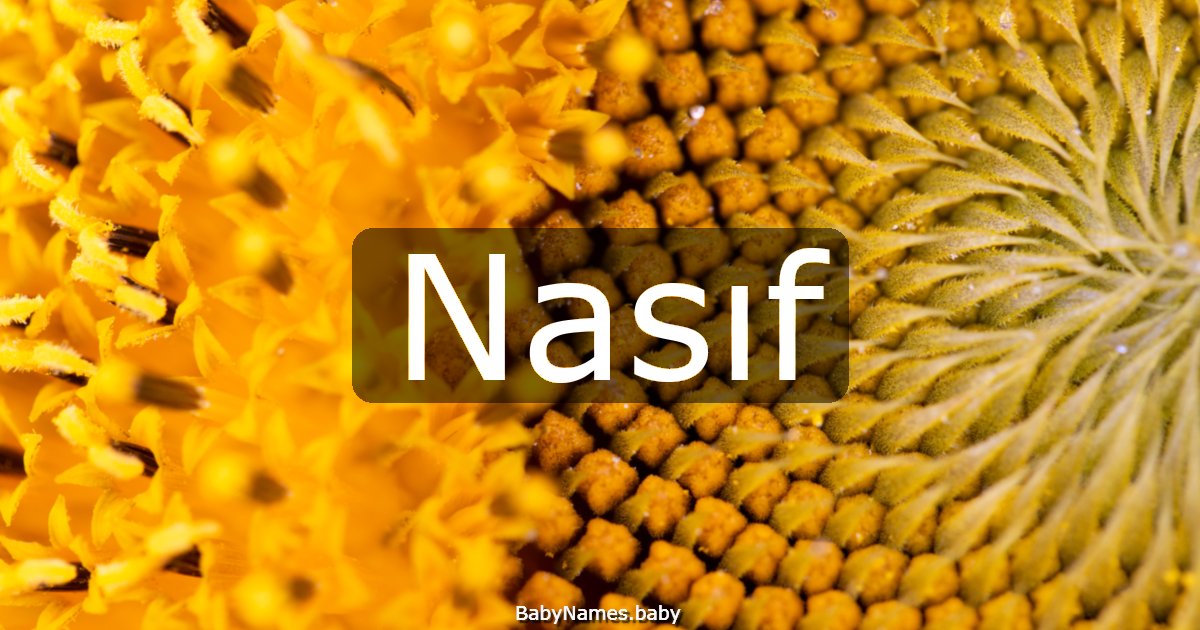Nasıf