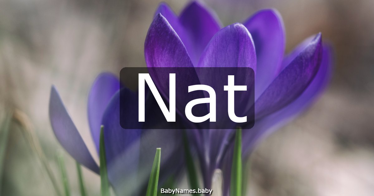Nat