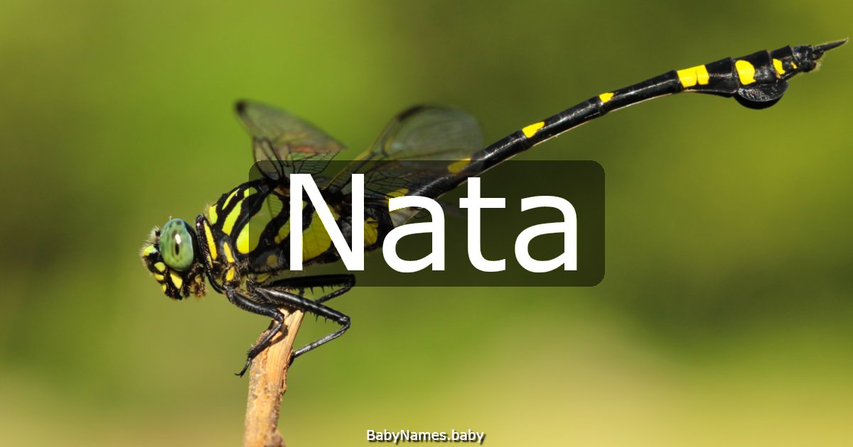 Nata