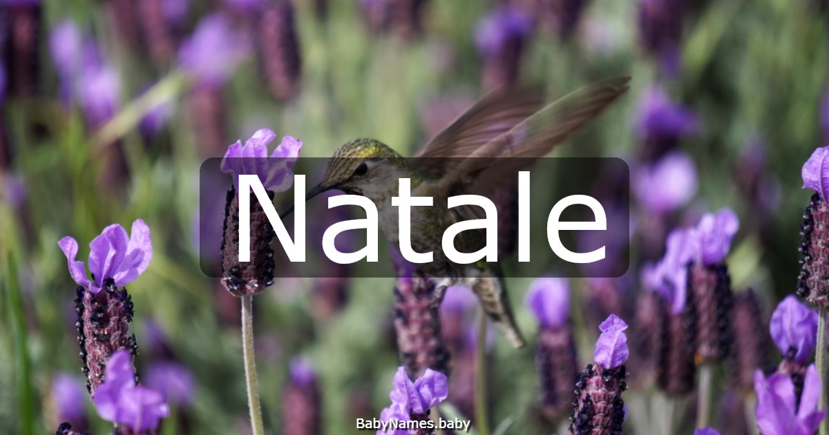 Natale