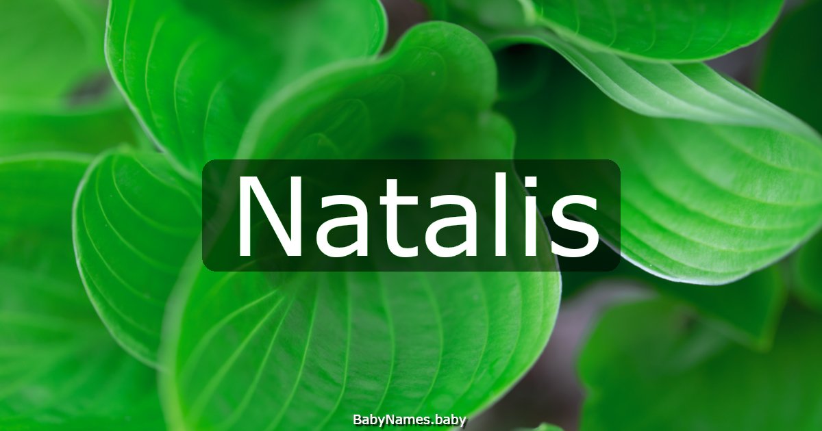 Natalis