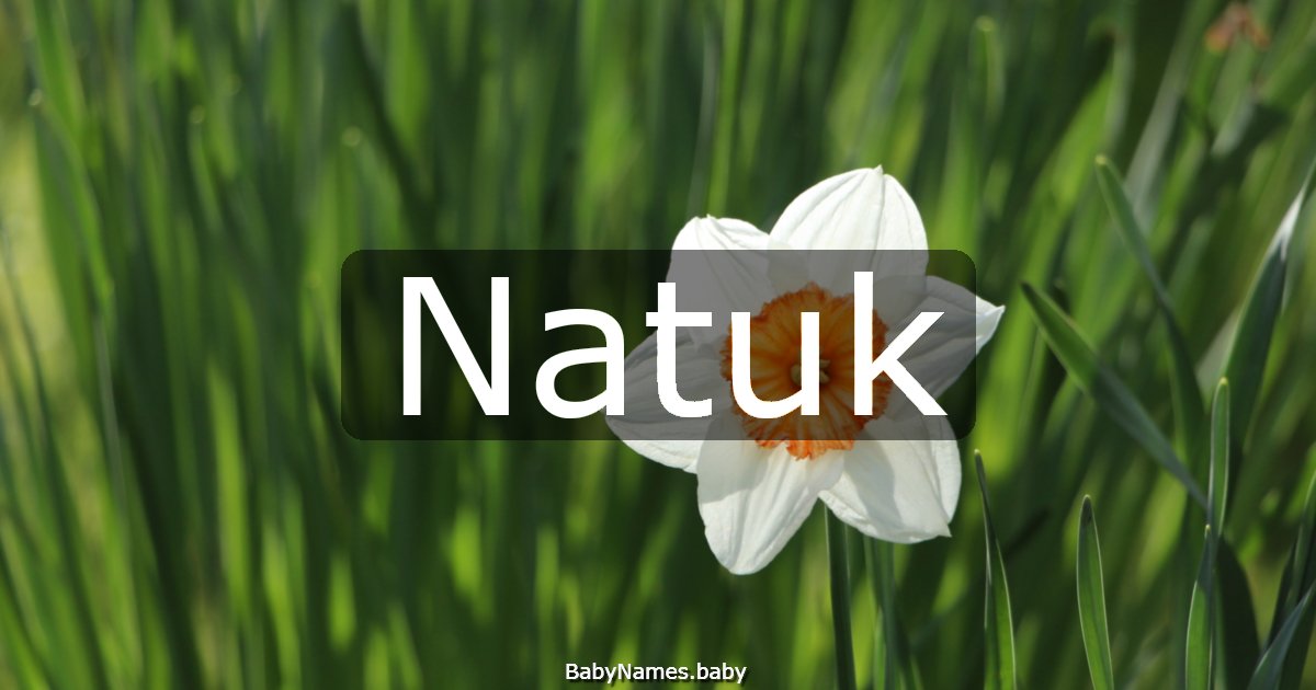 Natuk