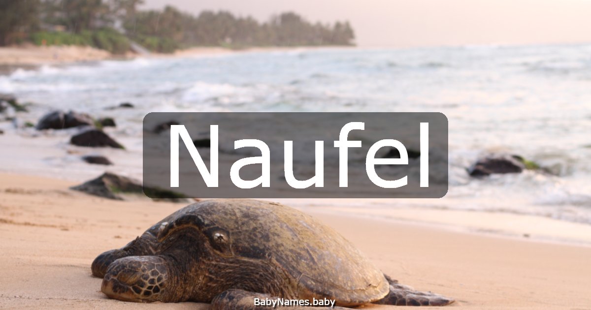 Naufel