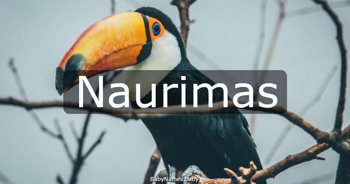 Naurimas