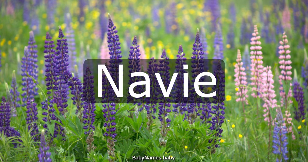 Navie