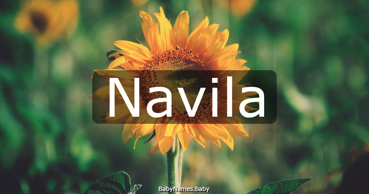 Navila