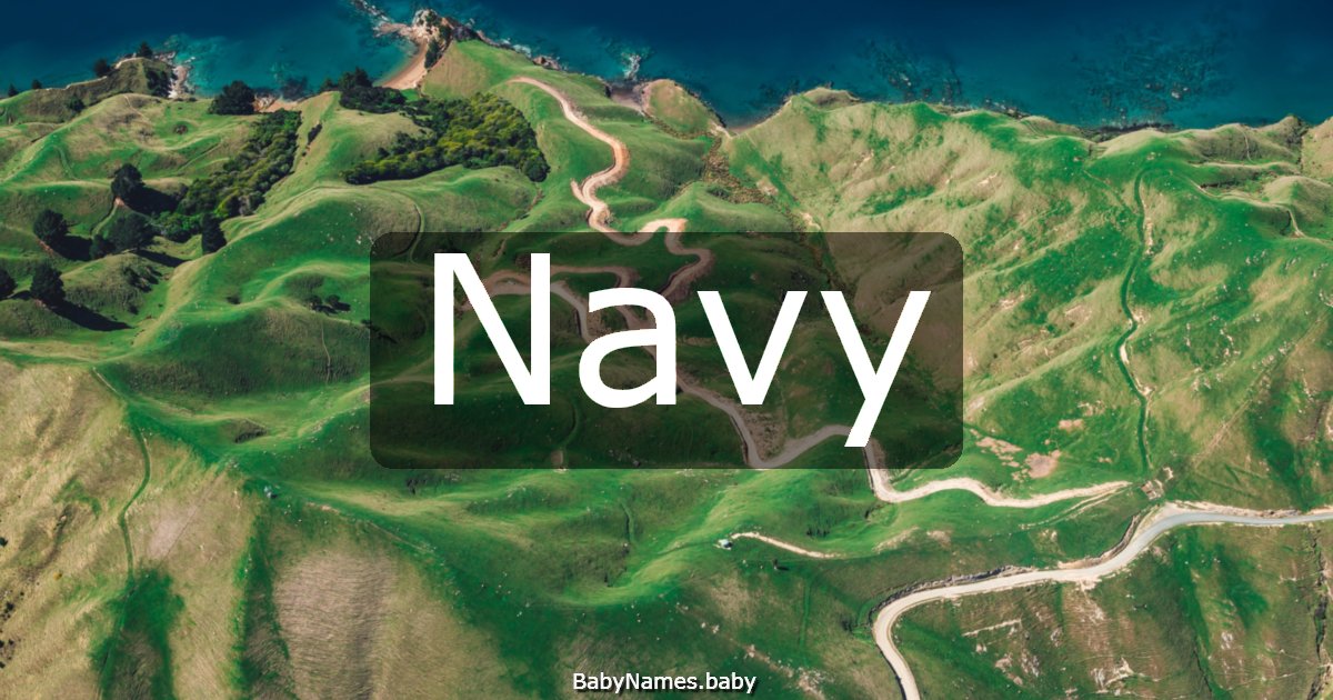 Navy