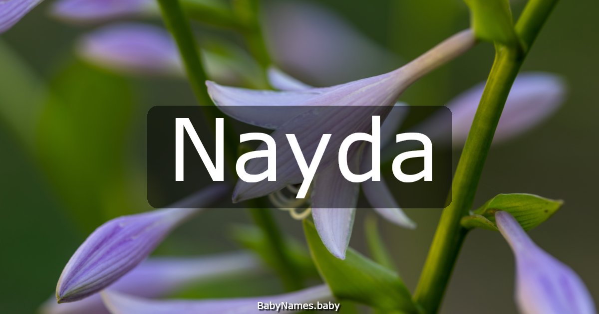 Nayda