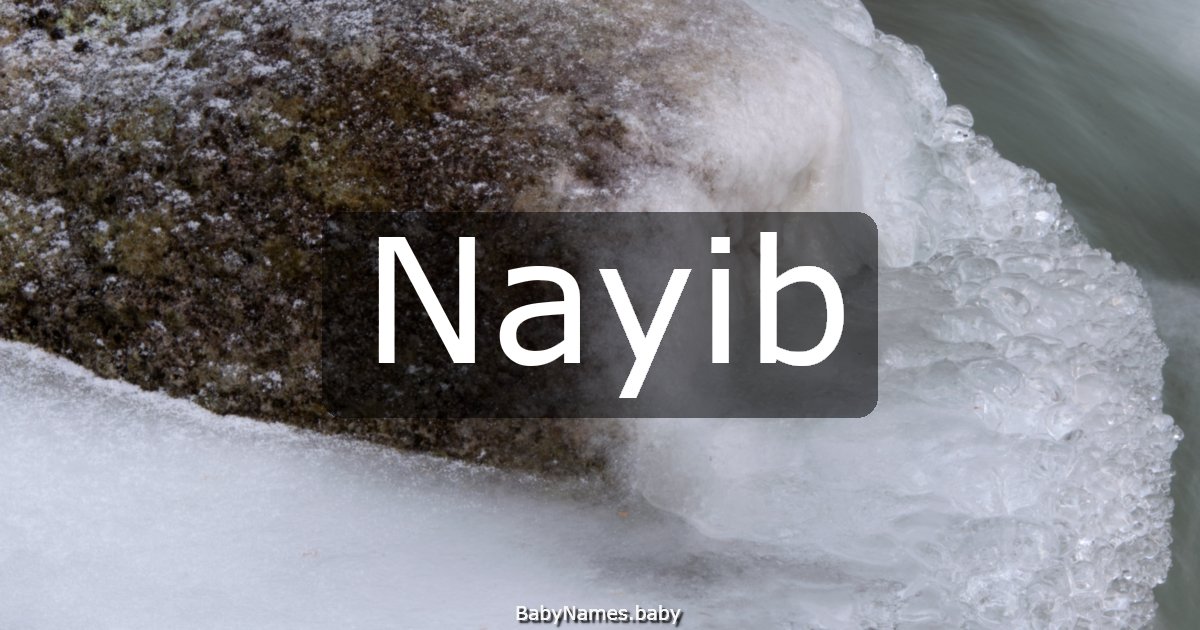 Nayib