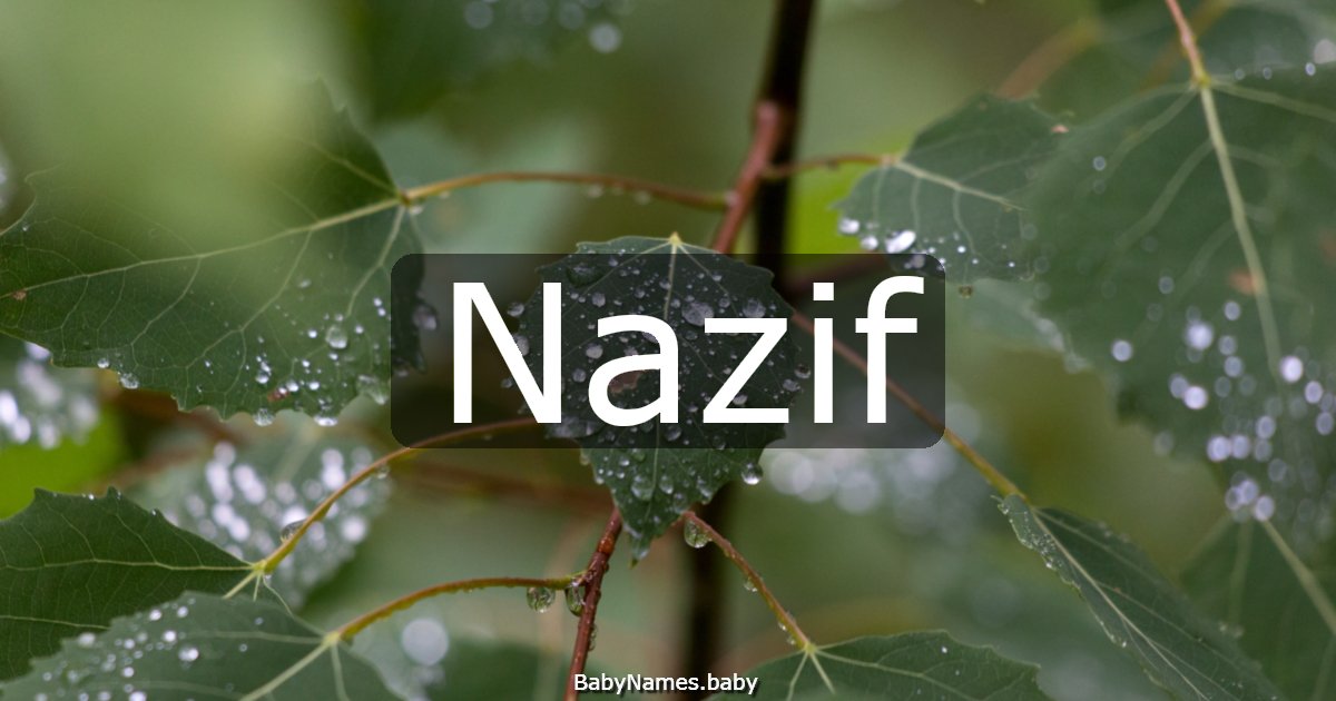 Nazif