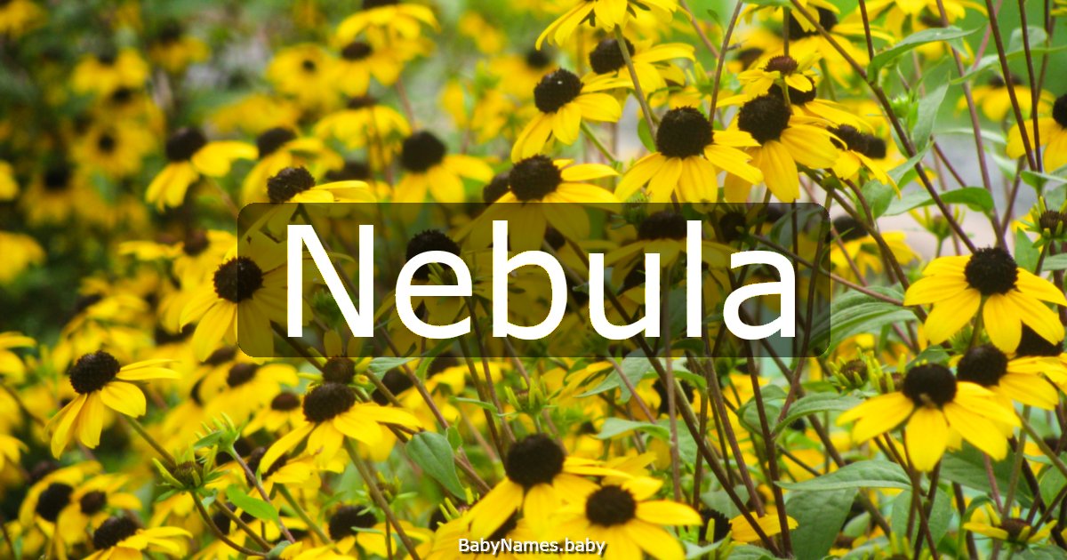 Nebula