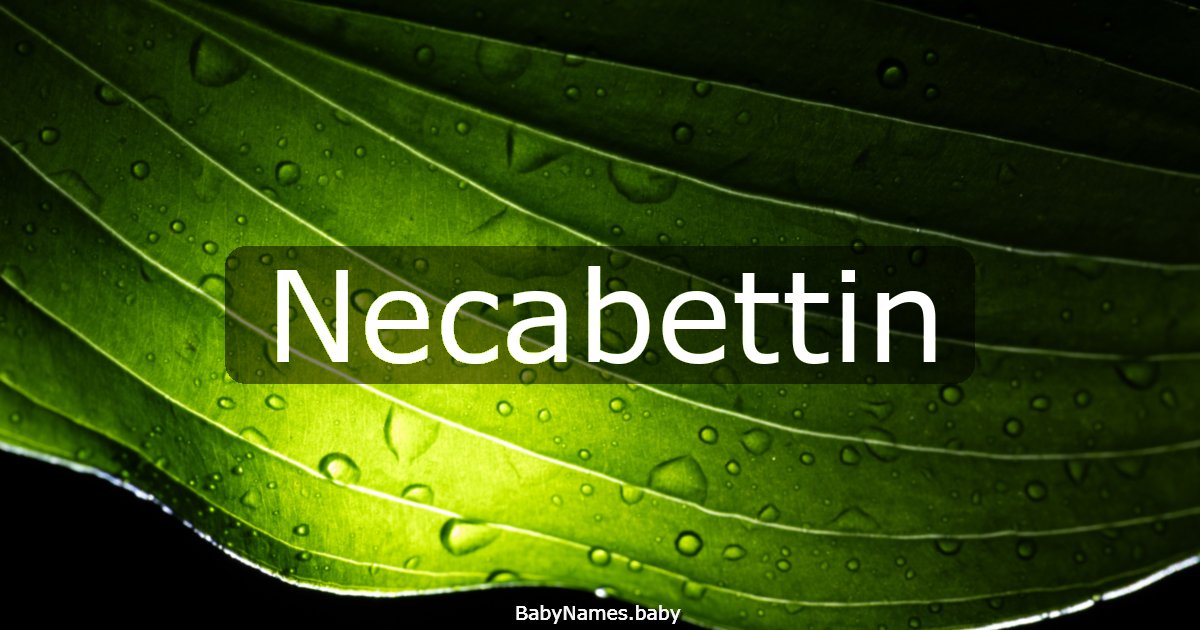 Necabettin