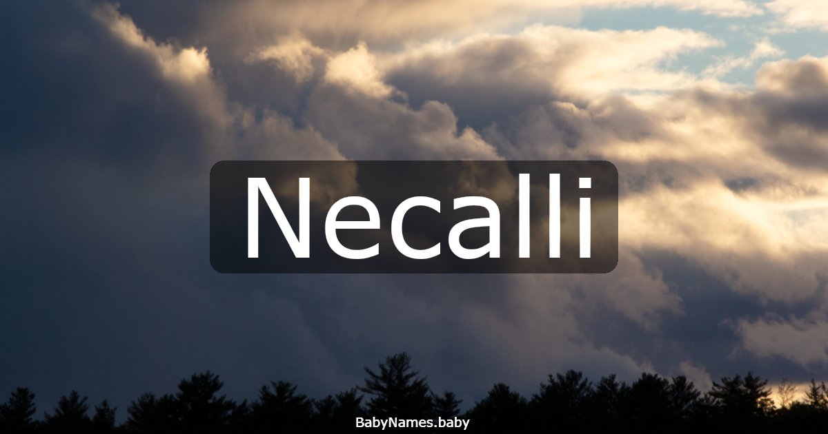 Necalli