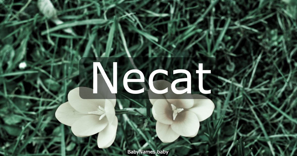 Necat