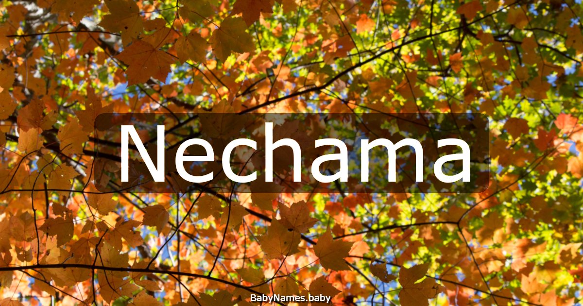 Nechama