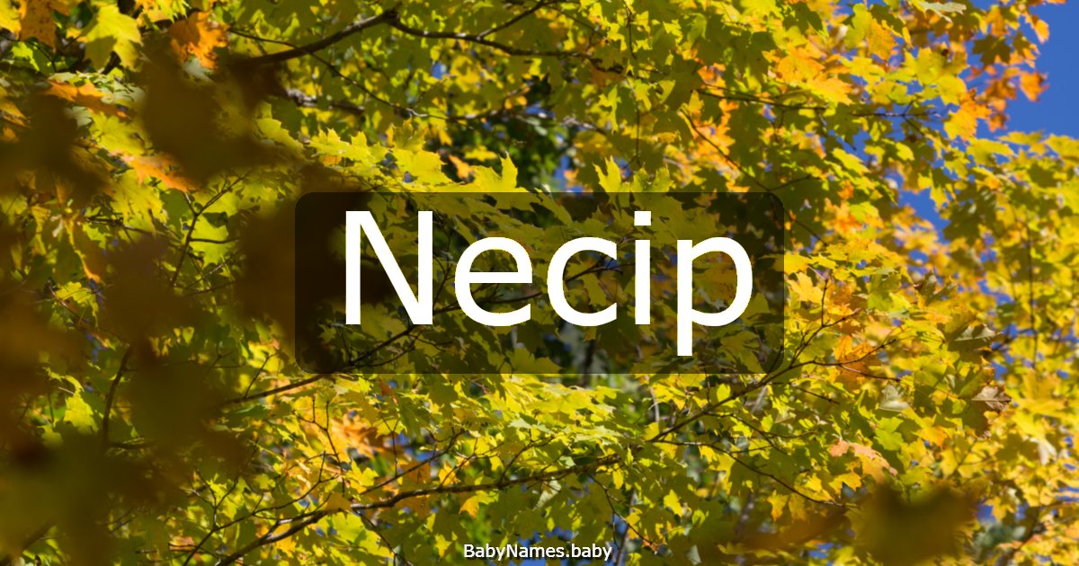 Necip