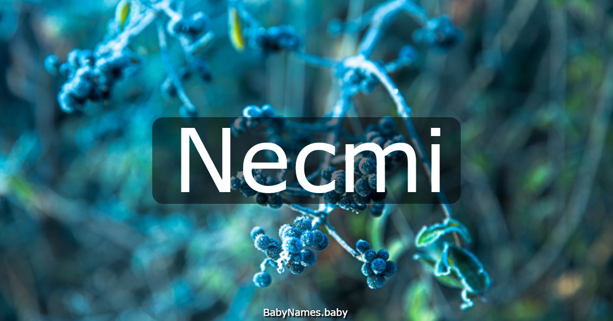 Necmi