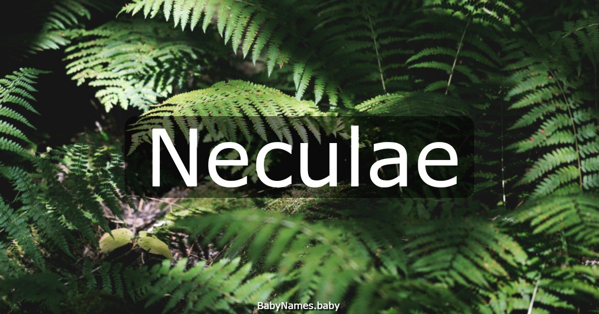 Neculae