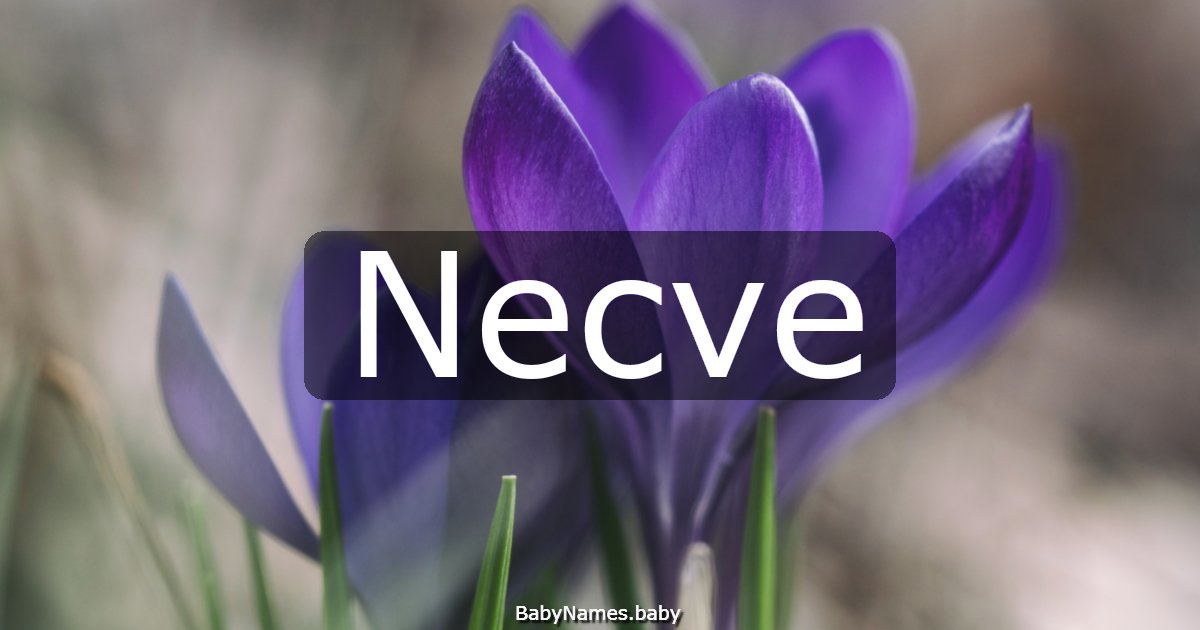 Necve