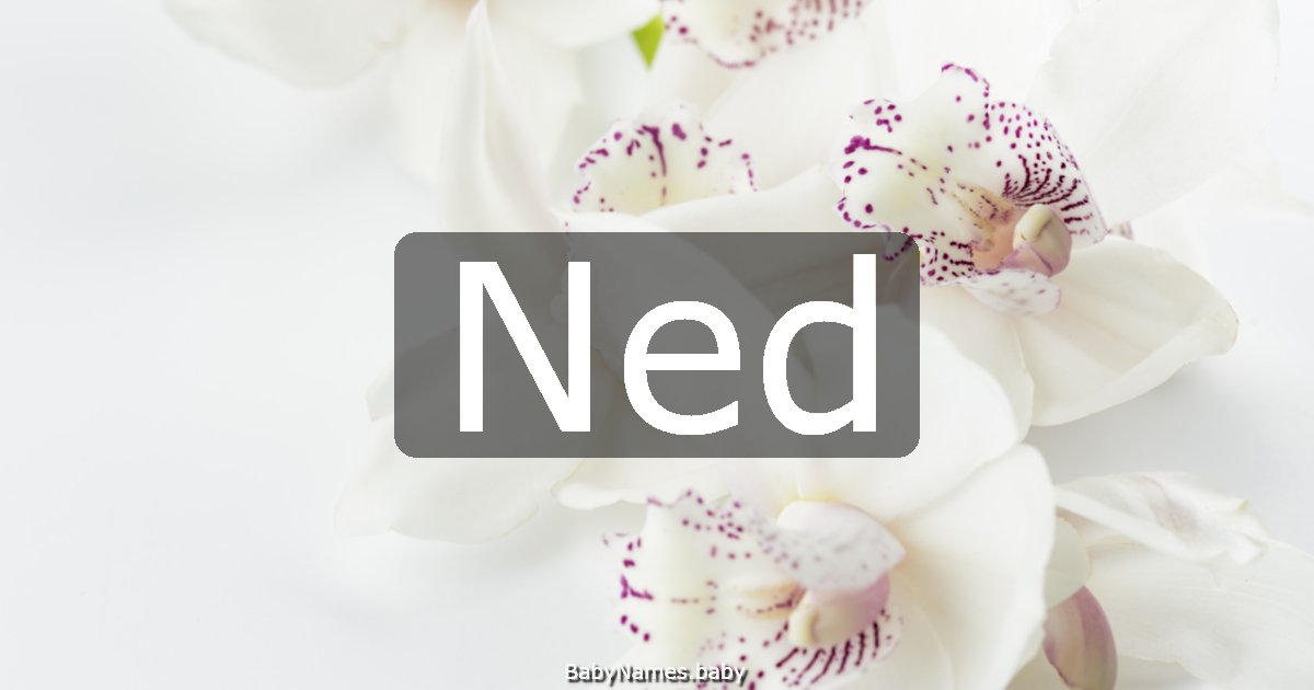 Ned