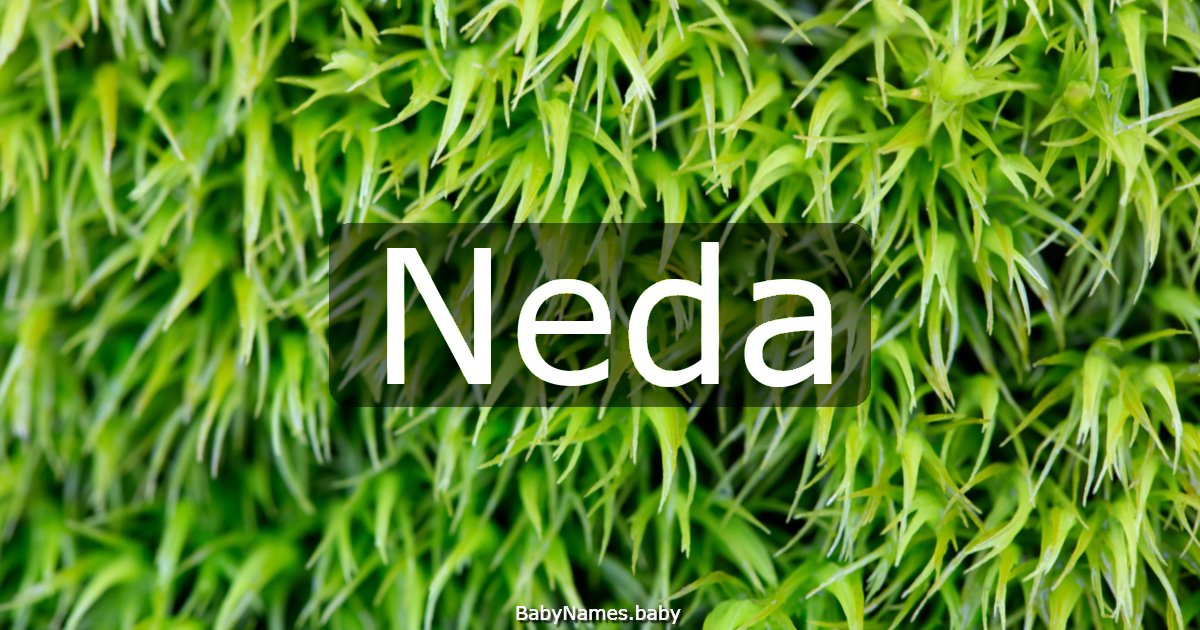 Neda