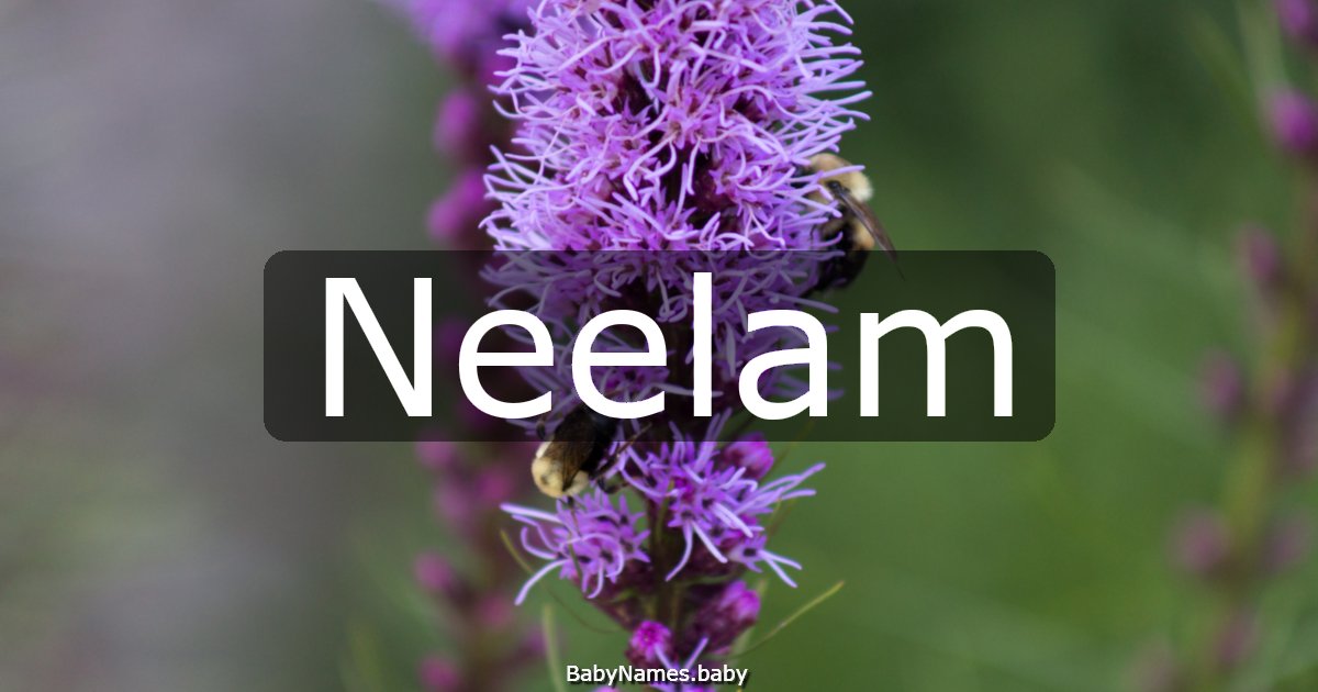 Neelam