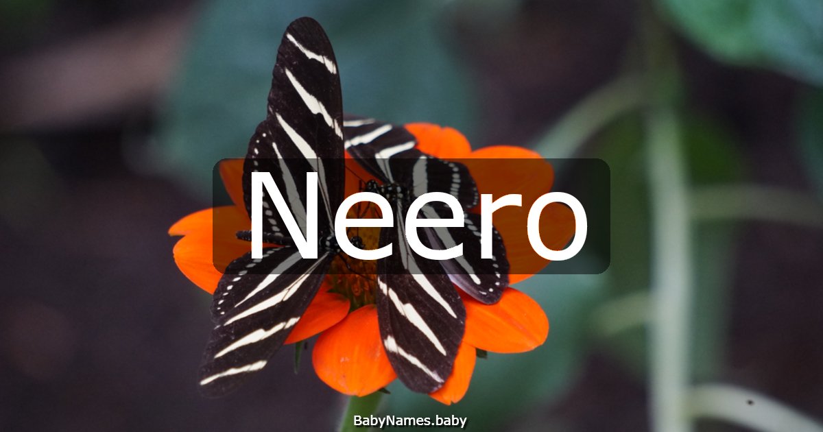 Neero
