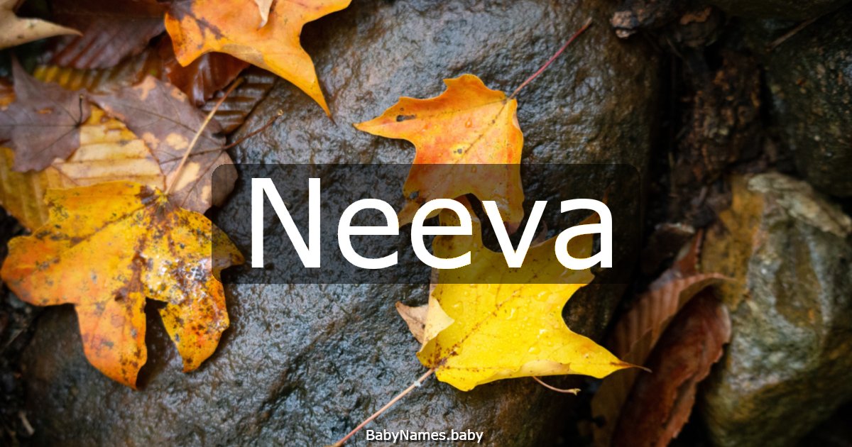 Neeva