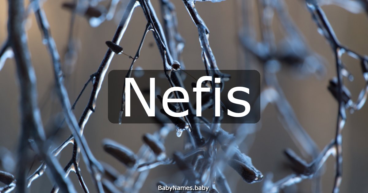 Nefis