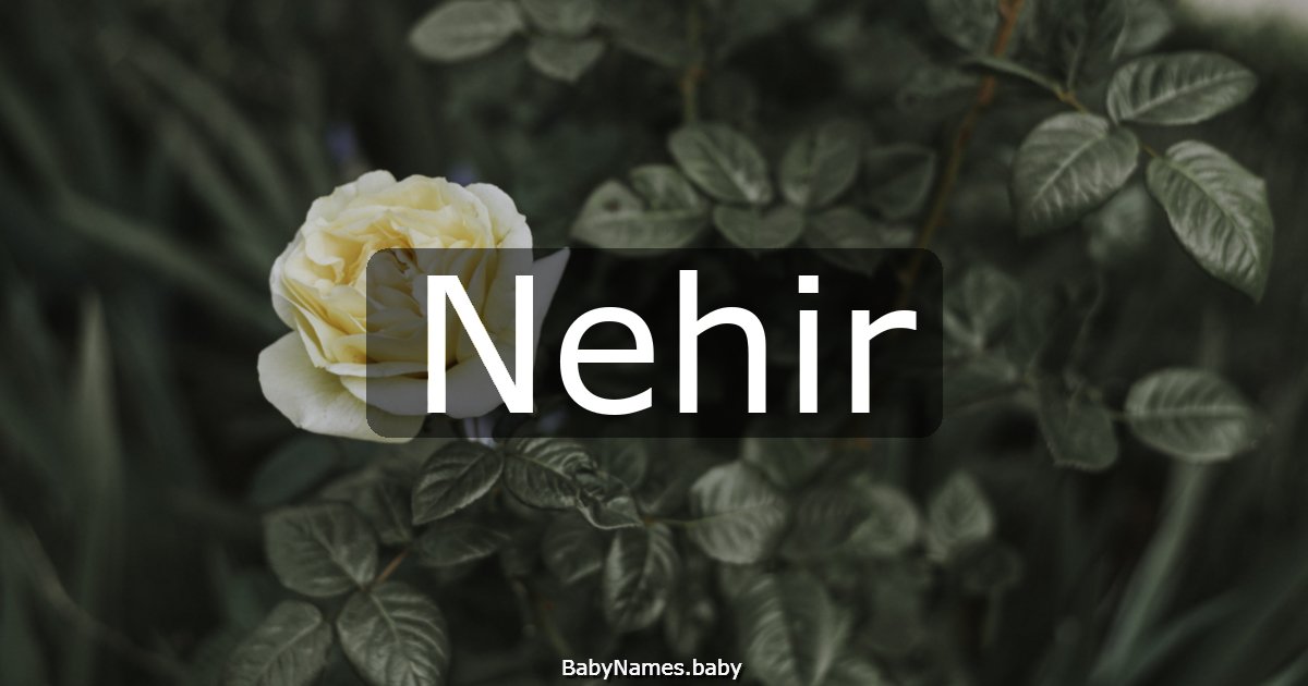 Nehir