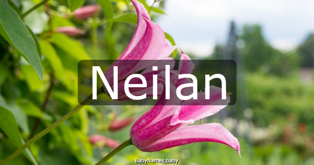 Neilan