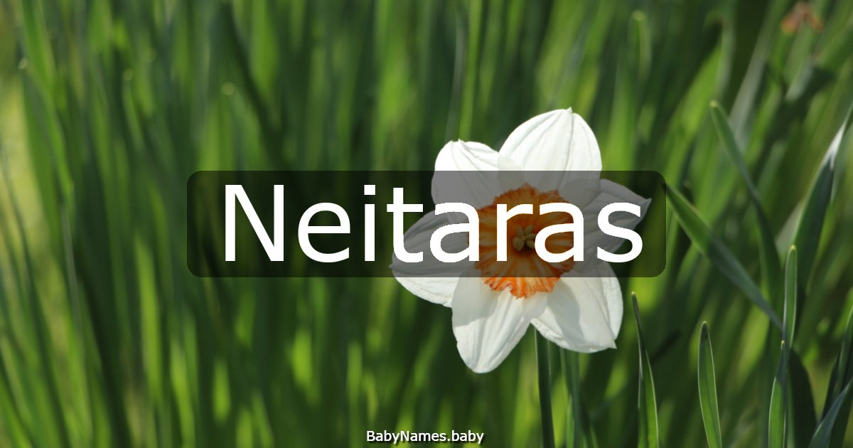 Neitaras