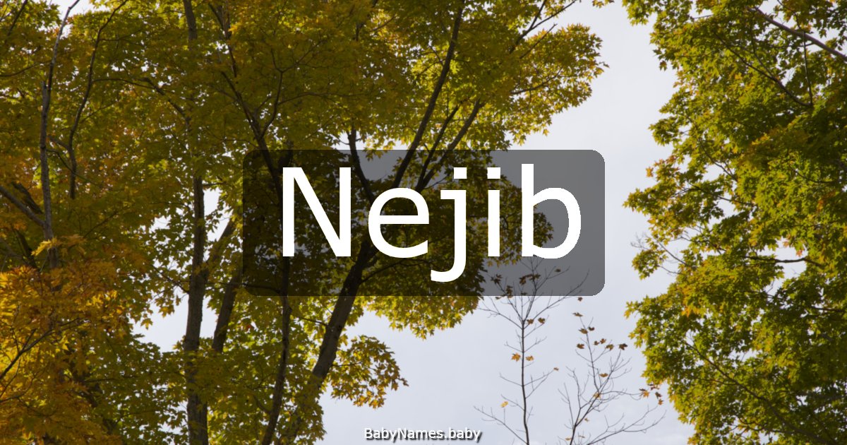 Nejib