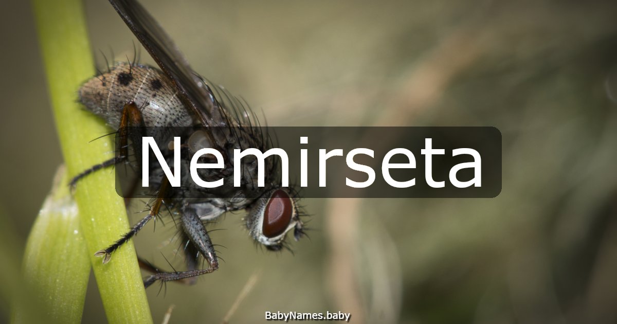 Nemirseta