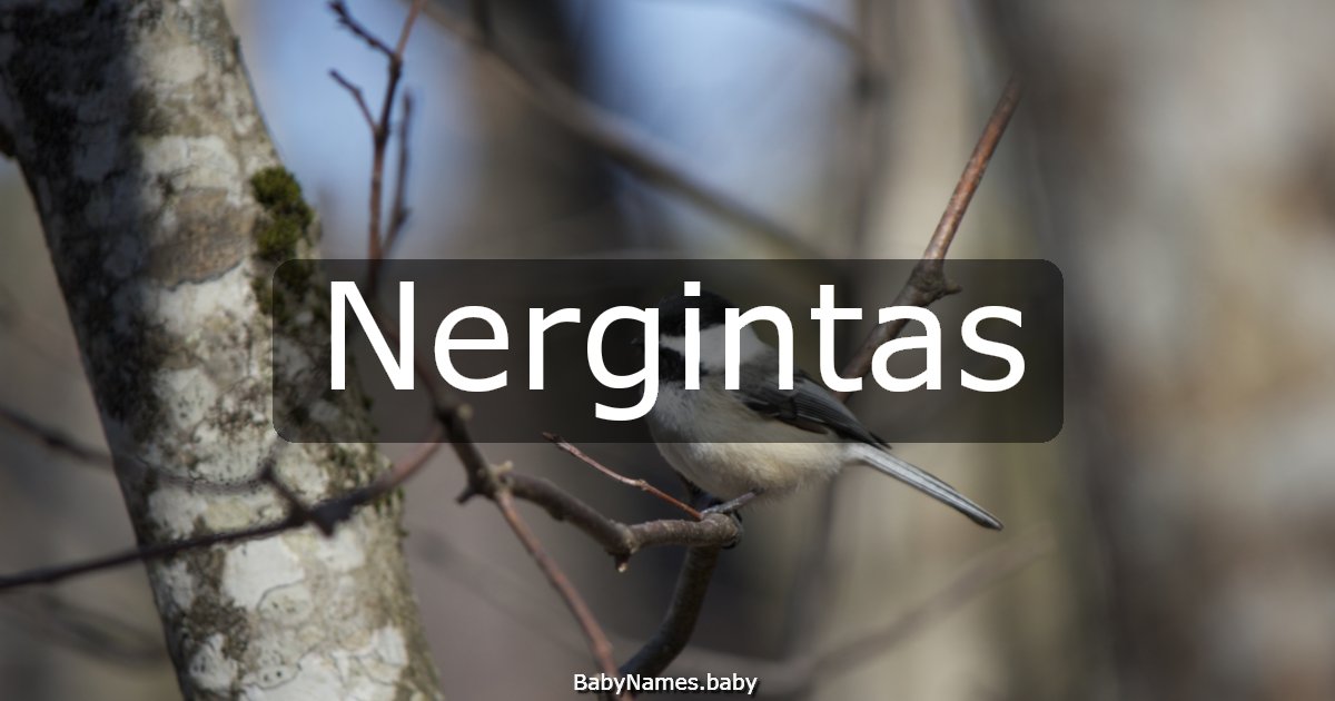 Nergintas