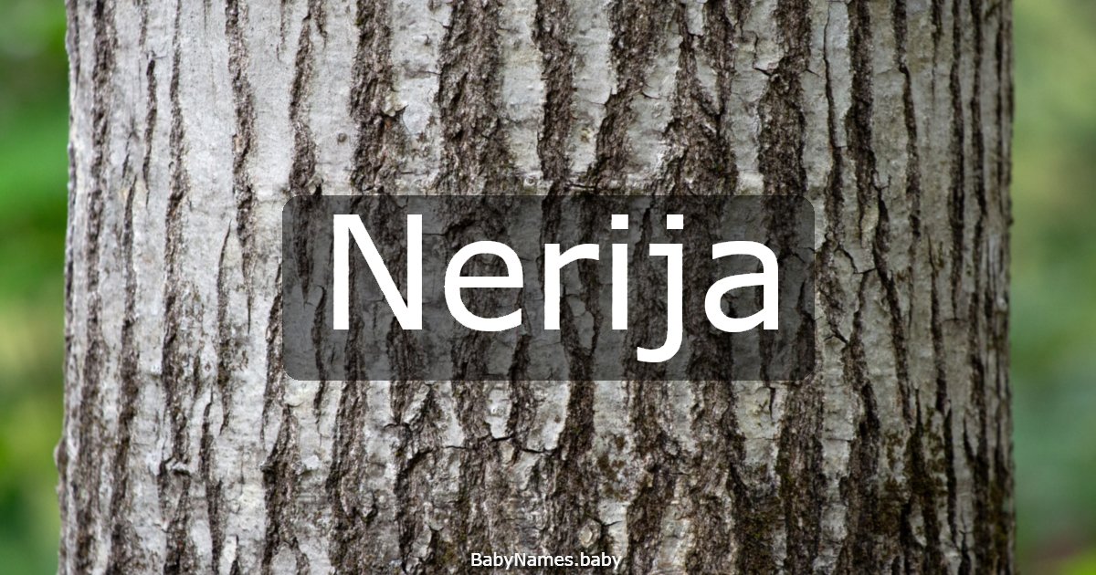 Nerija