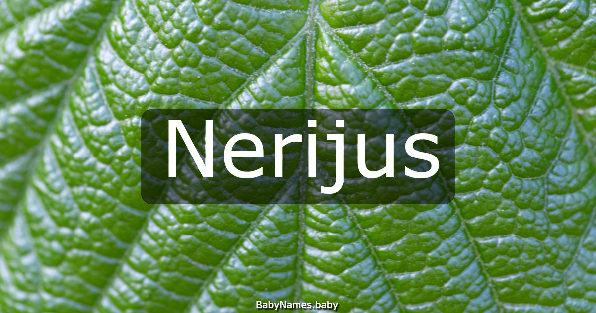 Nerijus