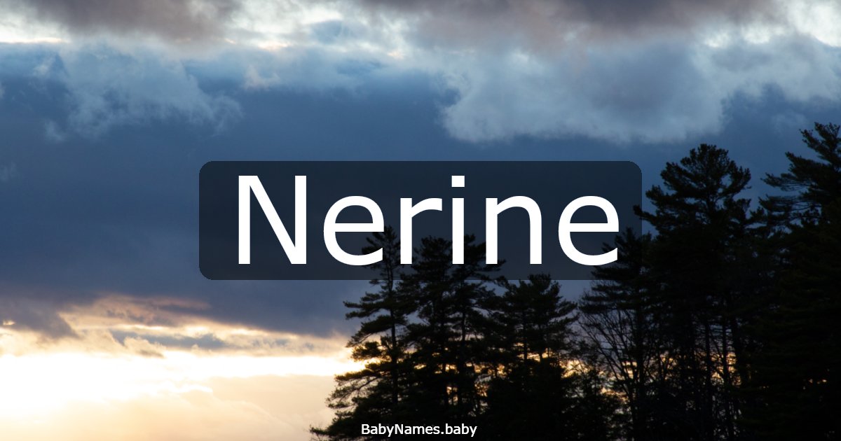 Nerine