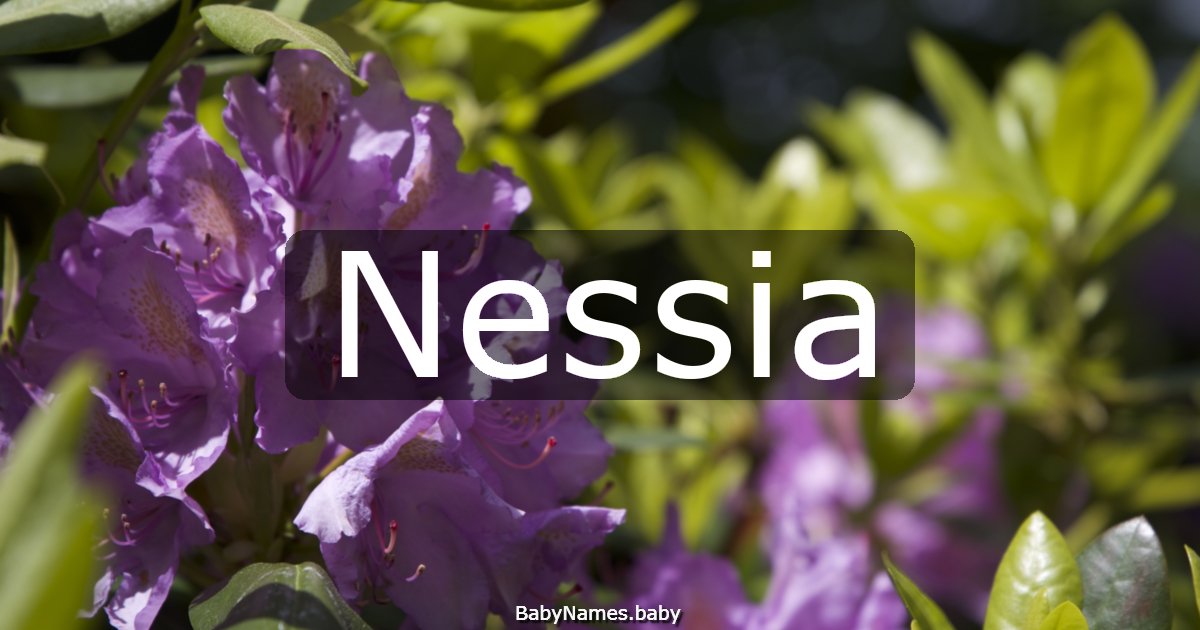 Nessia