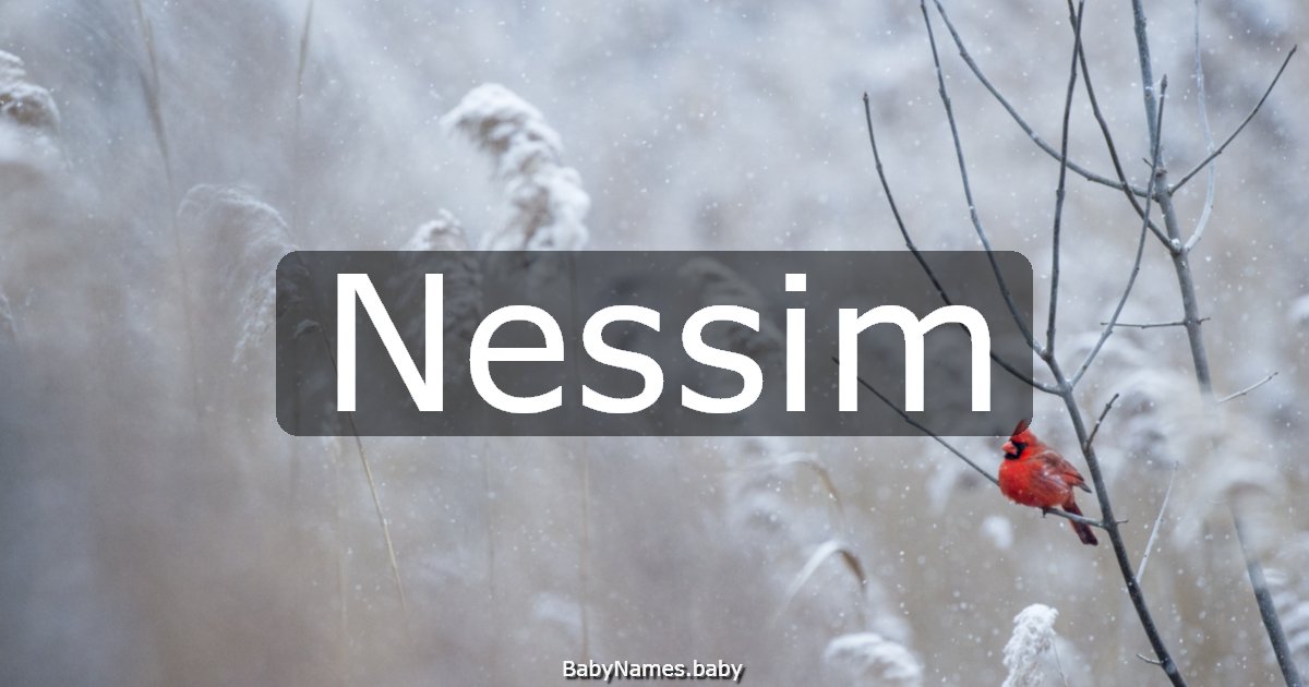 Nessim