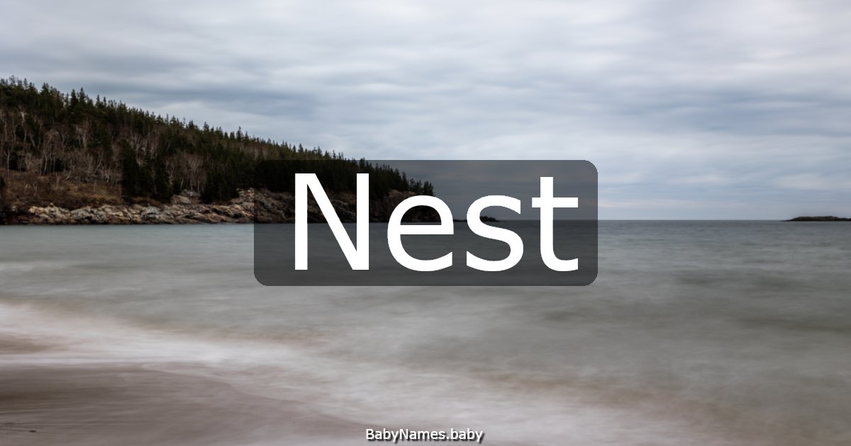 Nest