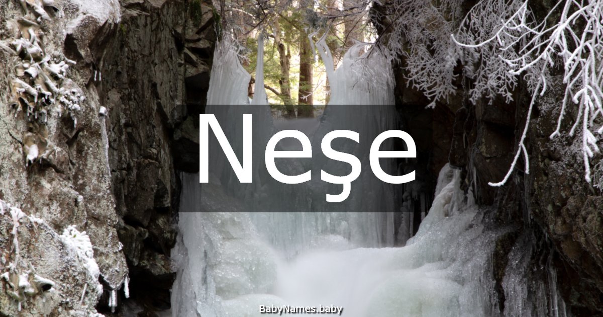Neşe
