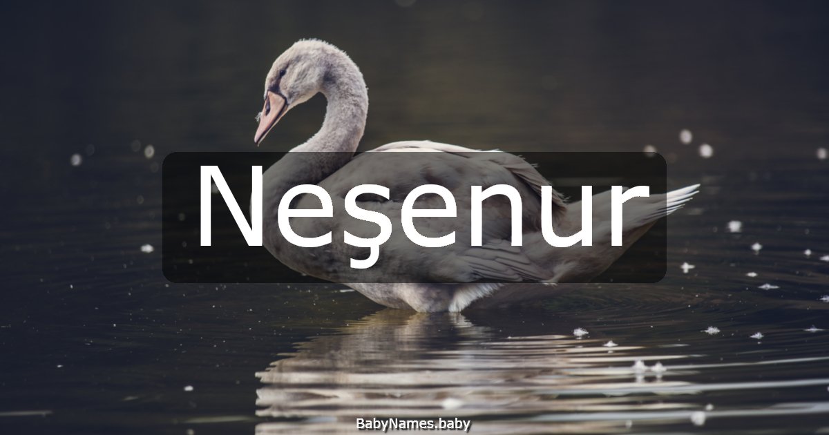 Neşenur